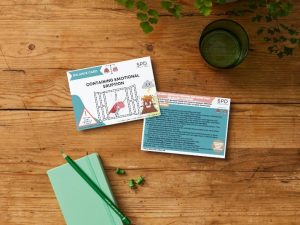 Behaviour Balance Cards - Containing Emotional Eruptions