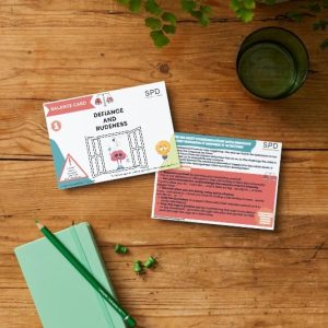 Behaviour Balance Cards - Defiance and Rudeness