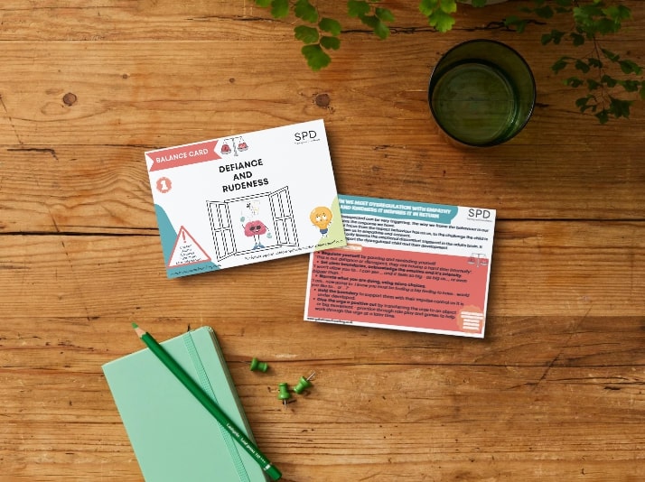 Behaviour Balance Cards - Defiance and Rudeness