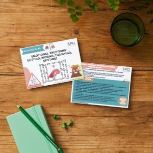 Behaviour Balance Cards - Emotional Eruptions