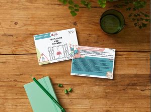 Behaviour Balance Cards - Hesitation and Shyness