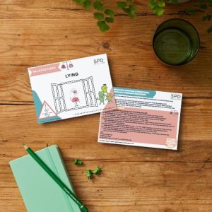 Behaviour Balance Cards - Lying
