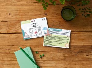 Behaviour Balance Cards - Whinging and Whining