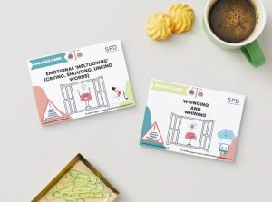 Full Set of Behaviour Balance Cards